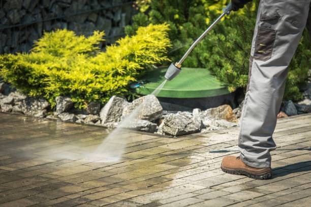 Best Boat and Dock Cleaning  in Felton, CA