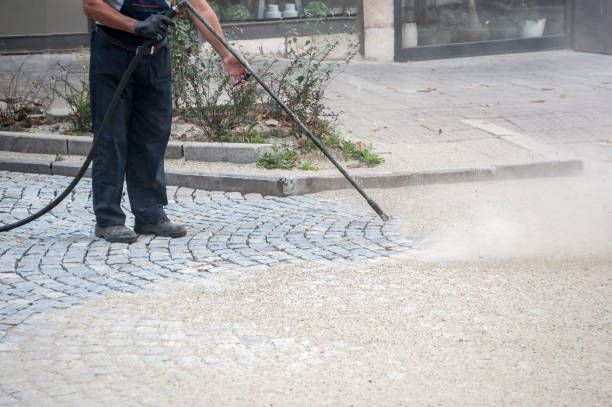 Best Pre-Holiday Cleaning  in Felton, CA