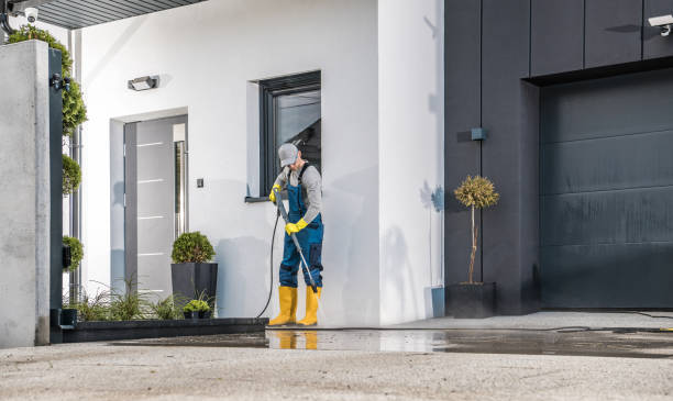 Best Animal Enclosure Cleaning  in Felton, CA